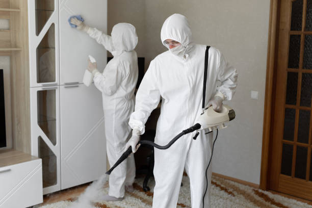 Best Post-Flood Mold Remediation in Oconomowoc, WI
