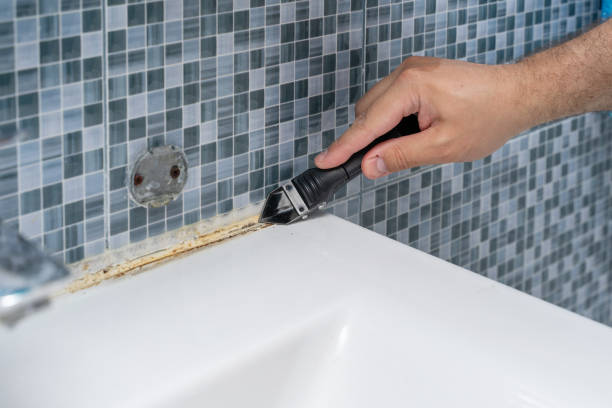 Best Health and Safety Mold Remediation in Oconomowoc, WI