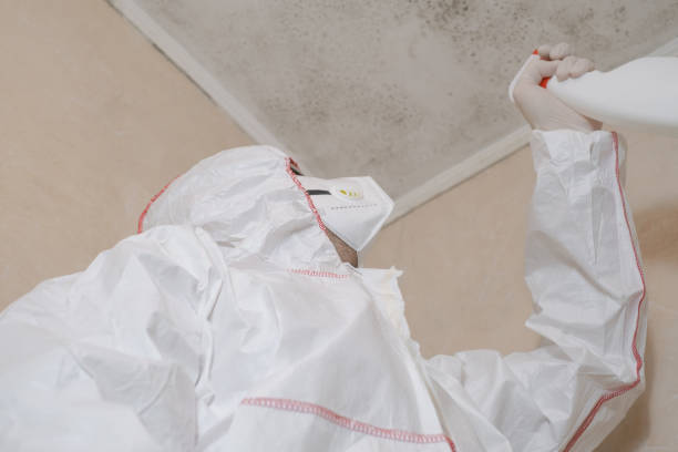 Best Localized Mold Remediation (e.g., coastal areas, humid climates) in Oconomowoc, WI