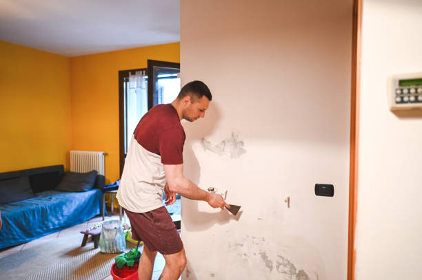 Best Black Mold Remediation in Oconomowoc, WI